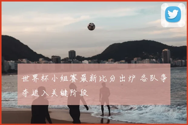 世界杯小组赛最新比分出炉 各队争夺进入关键阶段