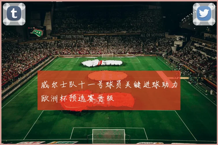 威尔士队十一号球员关键进球助力欧洲杯预选赛晋级