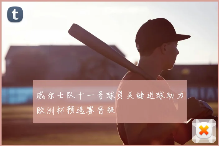 威尔士队十一号球员关键进球助力欧洲杯预选赛晋级