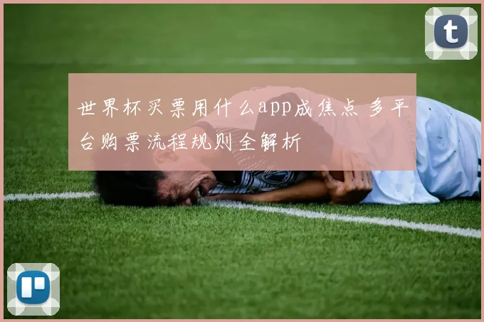 世界杯买票用什么app成焦点 多平台购票流程规则全解析