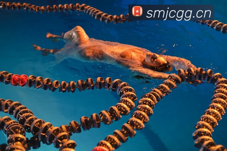 多媒体互动体验